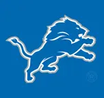 Detroit Lions 2025 - Book Super Bowl Hotels and Experience the Best NFL Packages Worldwide with 14sb.com